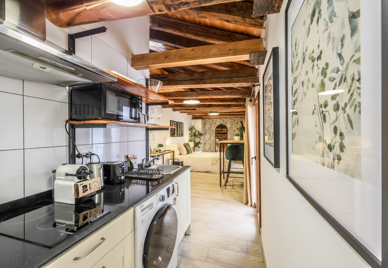 Apartahotel en Madrid - Precioso Loft Reformado en pleno centro N11 