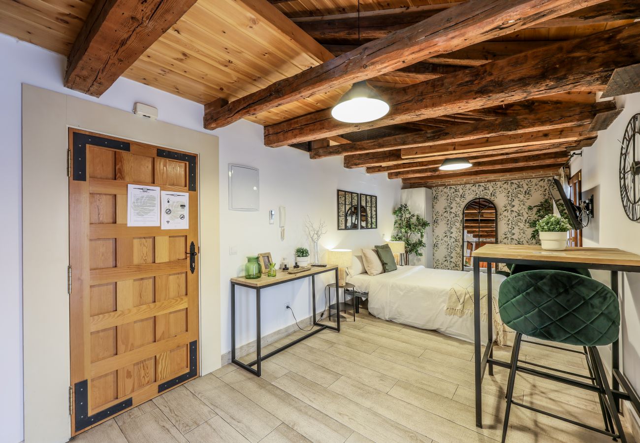 Apartahotel en Madrid - Precioso Loft Reformado en pleno centro N11 