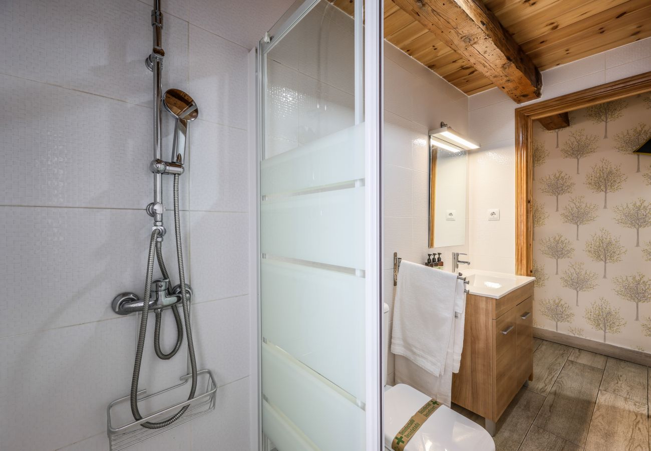 Apartahotel en Madrid - Precioso Loft  Reformado en pleno centro N12 