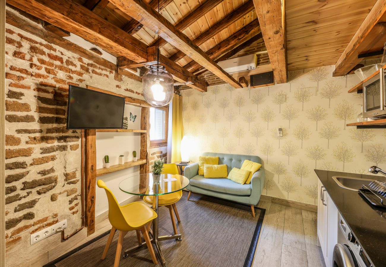 Apartahotel en Madrid - Precioso Loft  Reformado en pleno centro N12 