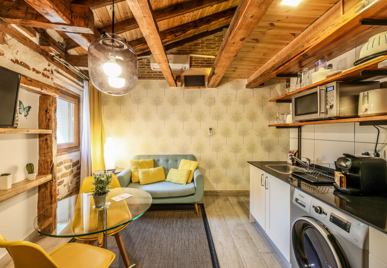 Apartahotel en Madrid - Precioso Loft  Reformado en pleno centro N12 