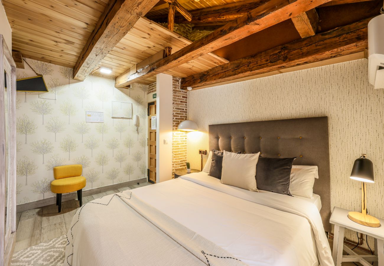 Apartahotel en Madrid - Precioso Loft  Reformado en pleno centro N12 