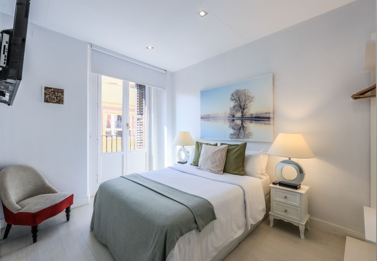 Apartahotel en Madrid - Ático dúplex con solárium en Plaza Mayor y Sol