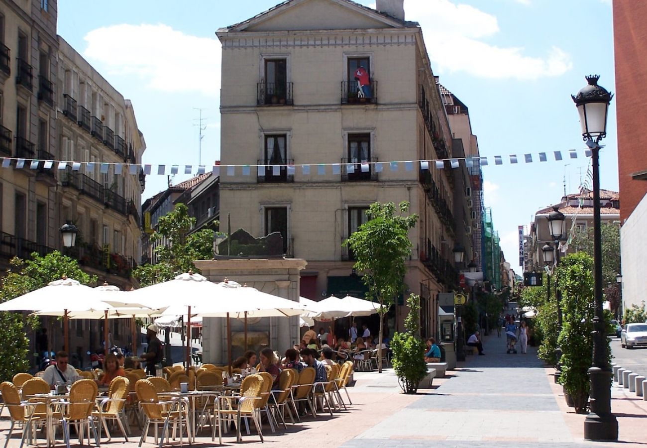 Apartamento en Madrid - Apartamento en Zona de Atocha y Barrio de las Letras  M1C 
