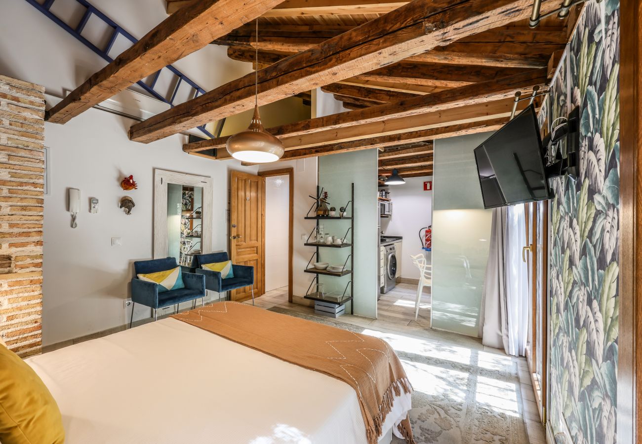 Apartahotel en Madrid - Precioso Loft Reformado en pleno centro N7 