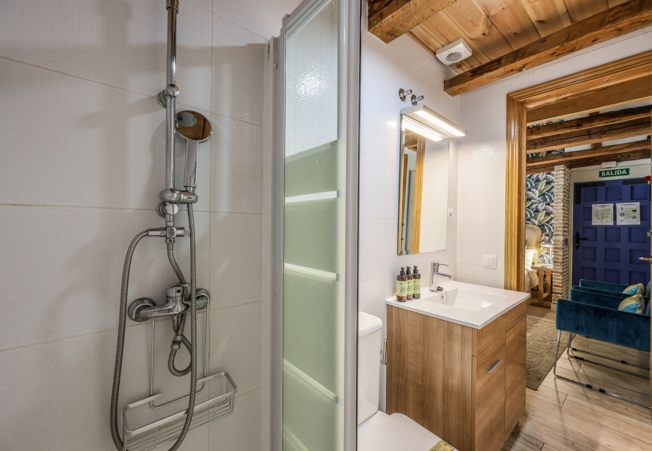 Apartahotel en Madrid - Precioso Loft Reformado en pleno centro N7 