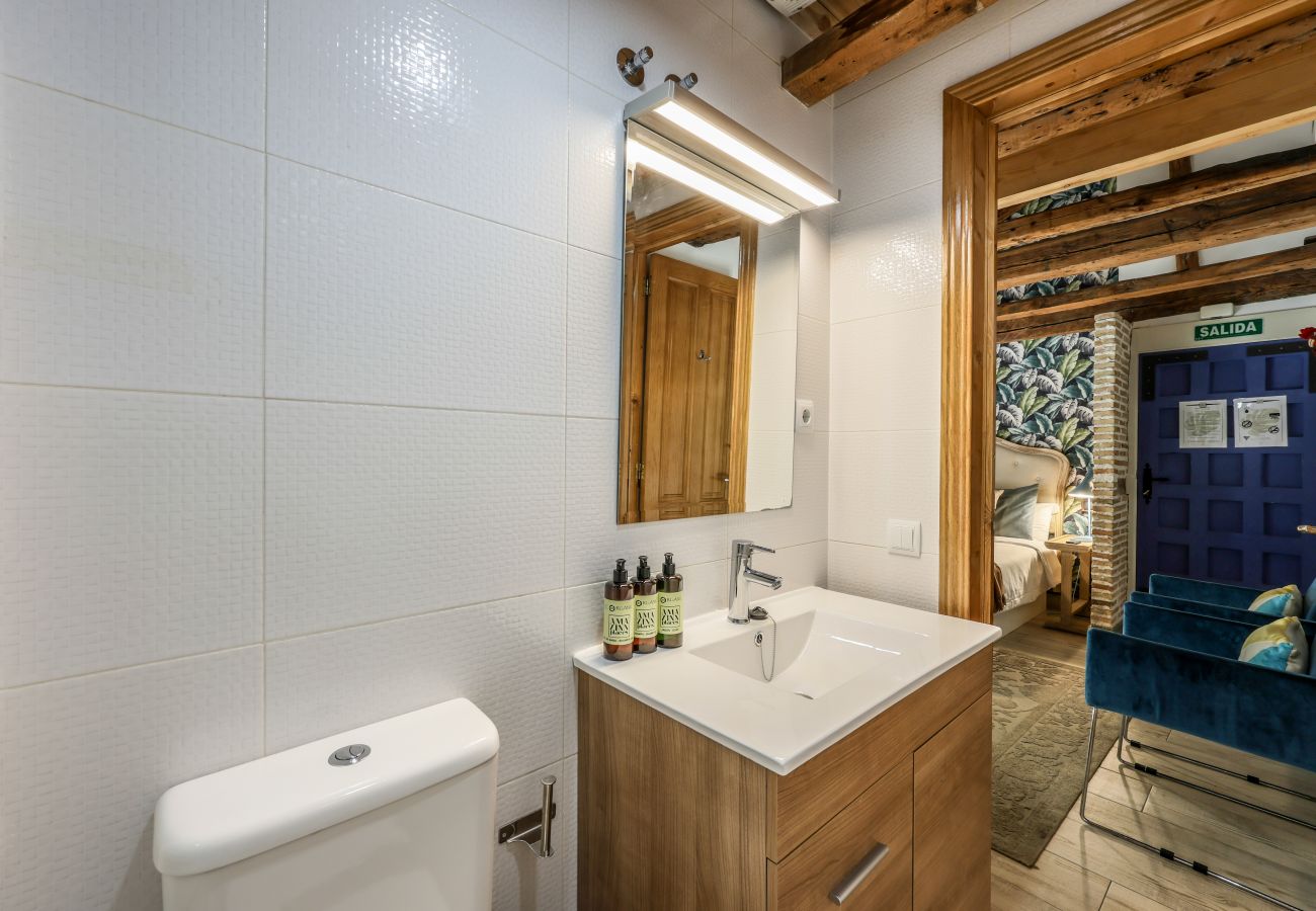 Apartahotel en Madrid - Precioso Loft Reformado en pleno centro N7 