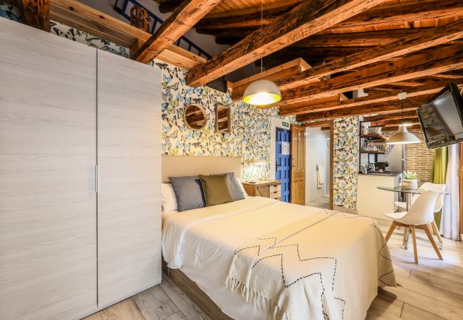 Apartahotel en Madrid - Precioso Loft Reformado en pleno centro N10 