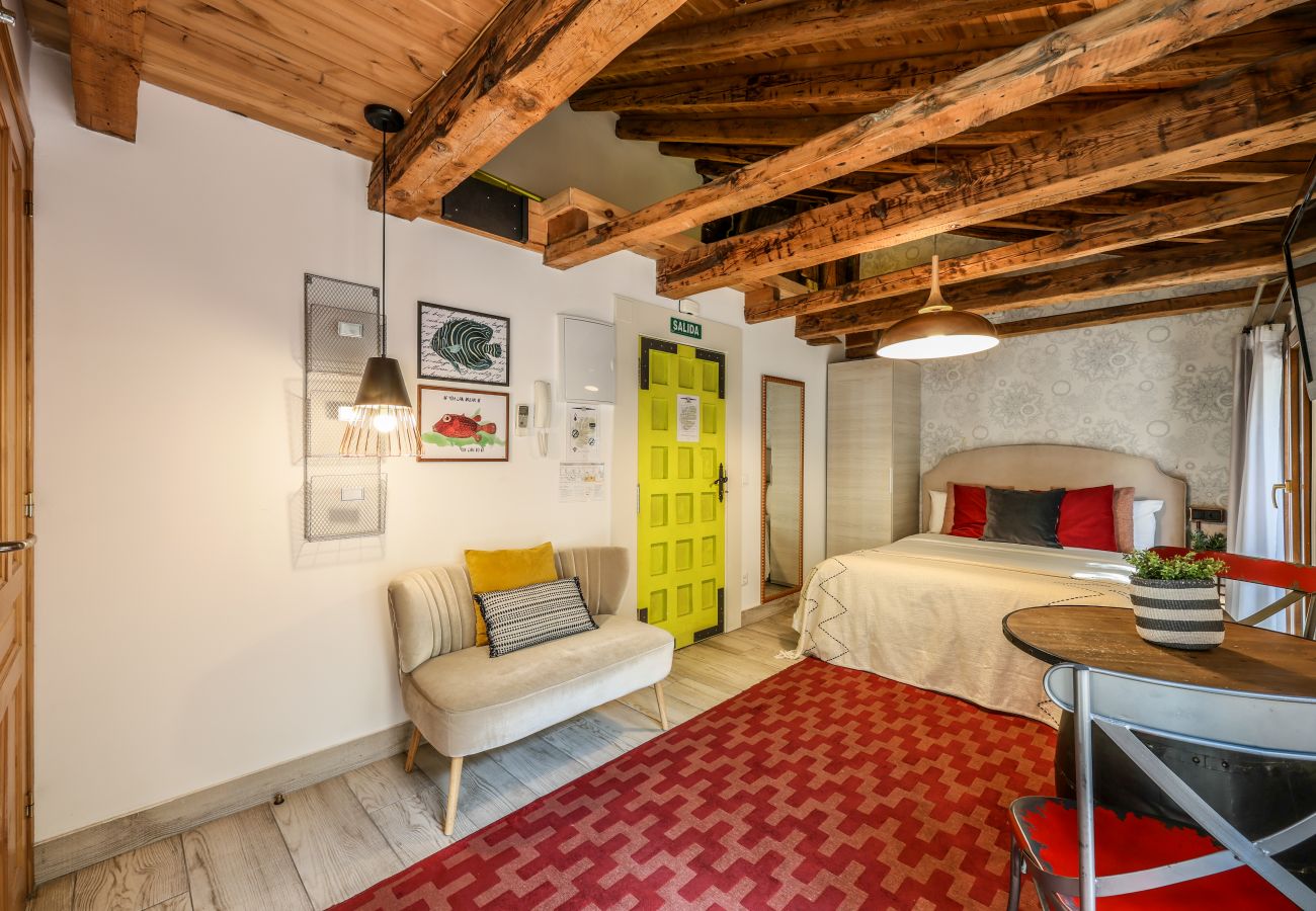 Apartahotel en Madrid - Precioso Loft Reformado en pleno centro N8 