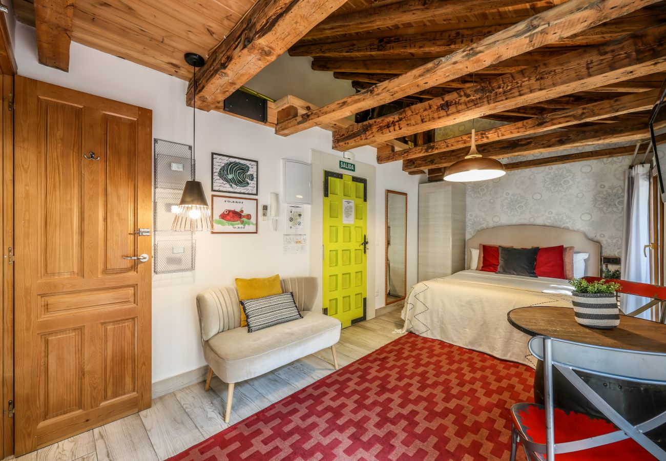 Apartahotel en Madrid - Precioso Loft Reformado en pleno centro N8 