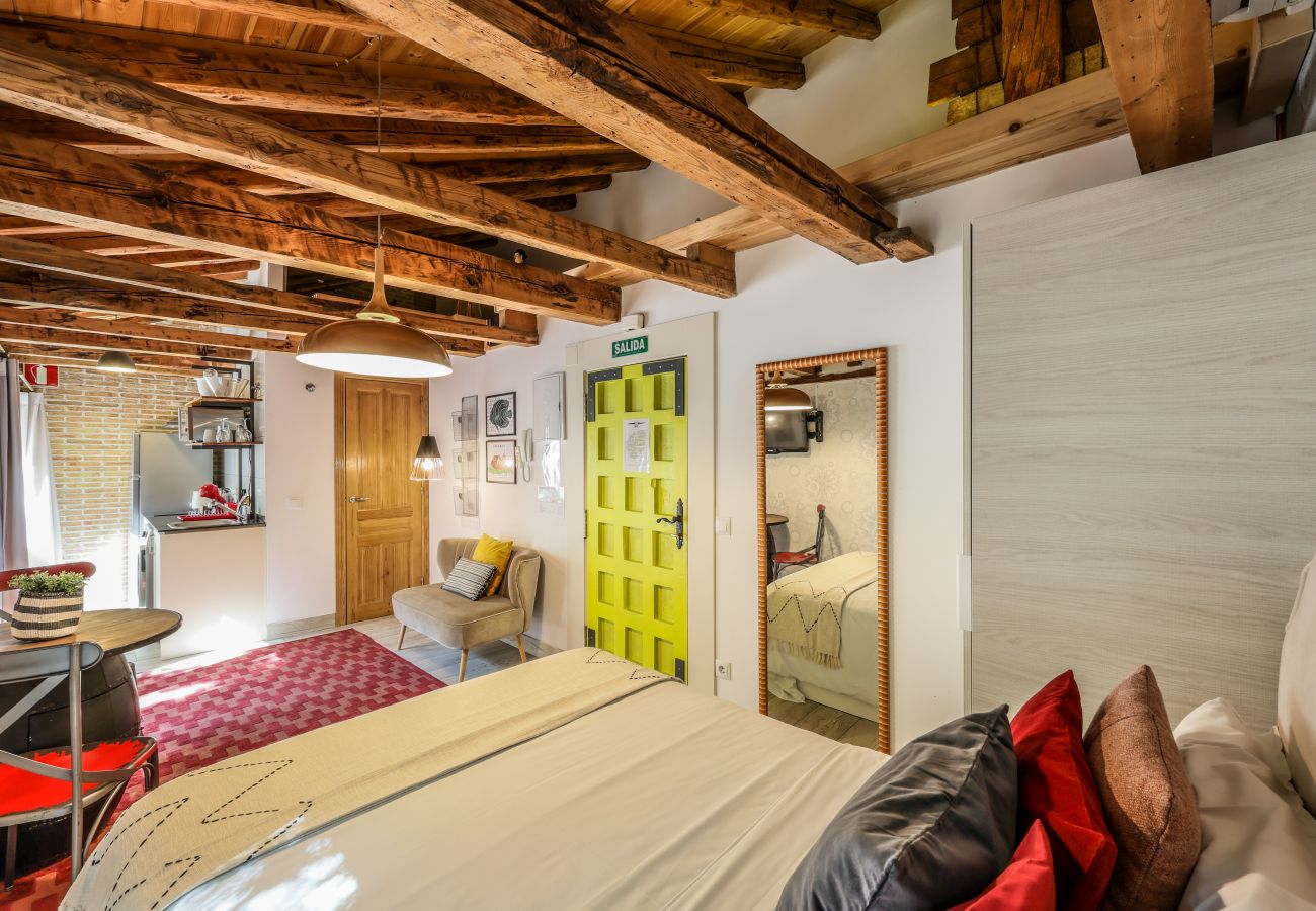 Apartahotel en Madrid - Precioso Loft Reformado en pleno centro N8 