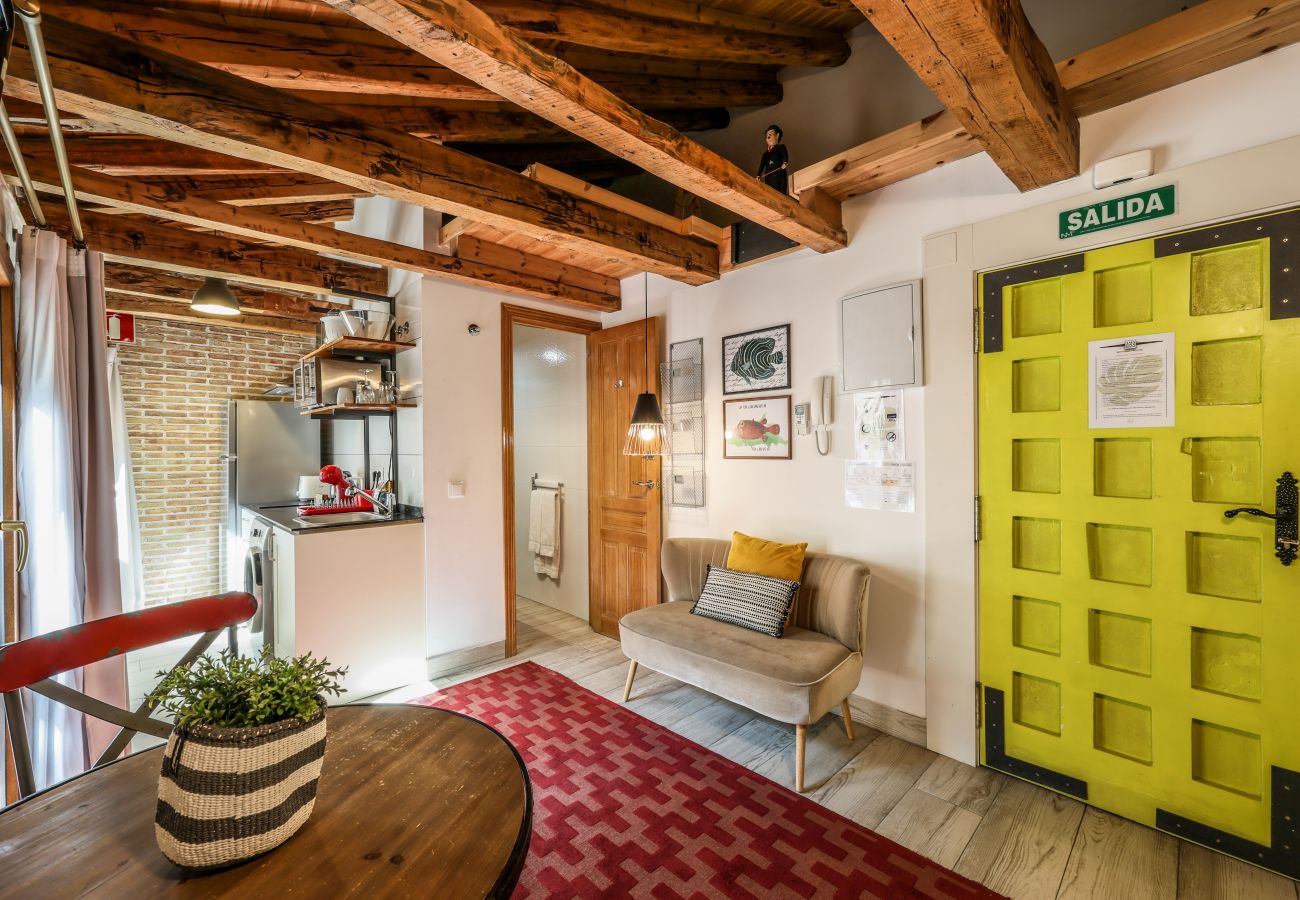 Apartahotel en Madrid - Precioso Loft Reformado en pleno centro N8 