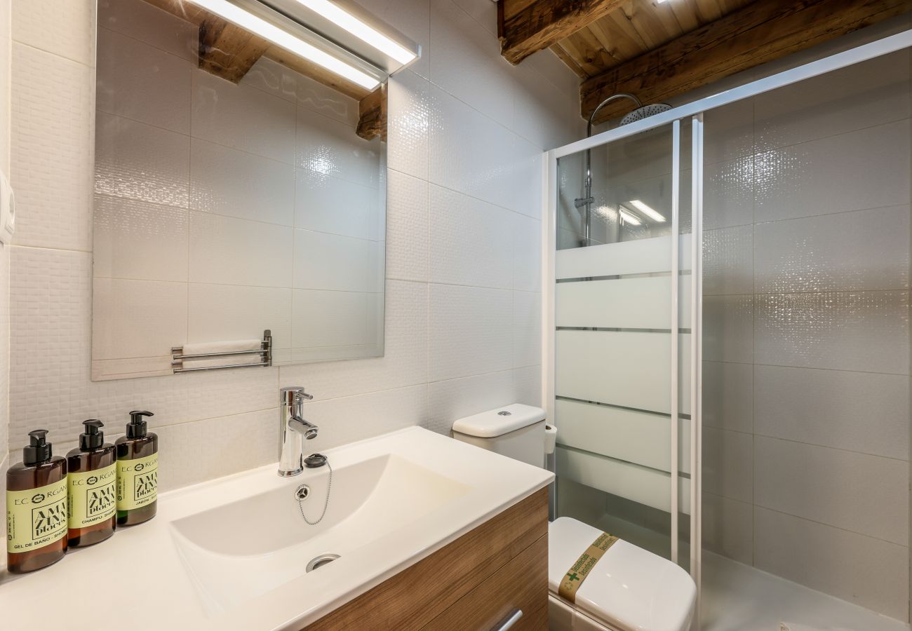 Apartahotel en Madrid - Precioso Loft Reformado en pleno centro N8 