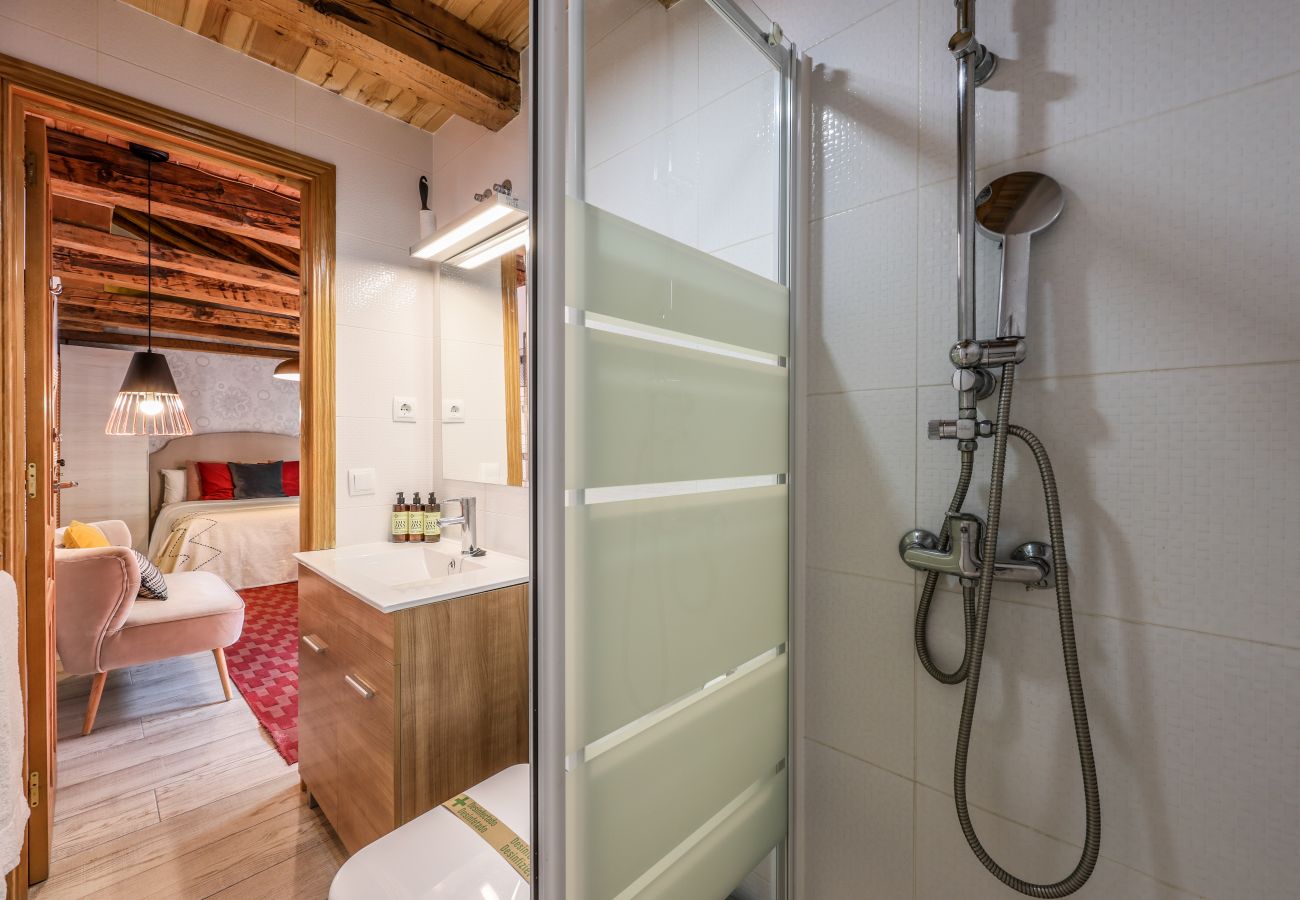 Apartahotel en Madrid - Precioso Loft Reformado en pleno centro N8 