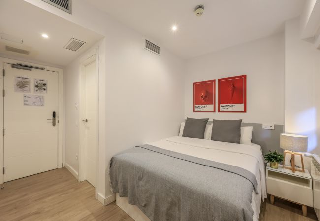 Alquiler por habitaciones en Madrid - Espectacular habitación doble con gimnasio B111 