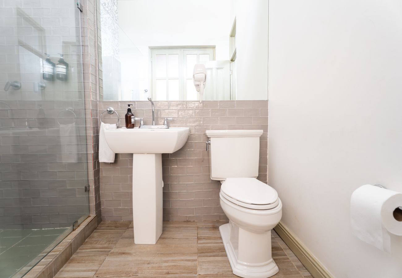 Estudio en Ciudad de Panamá - Céntrico apartamento con Terraza | Casco Viejo | M7