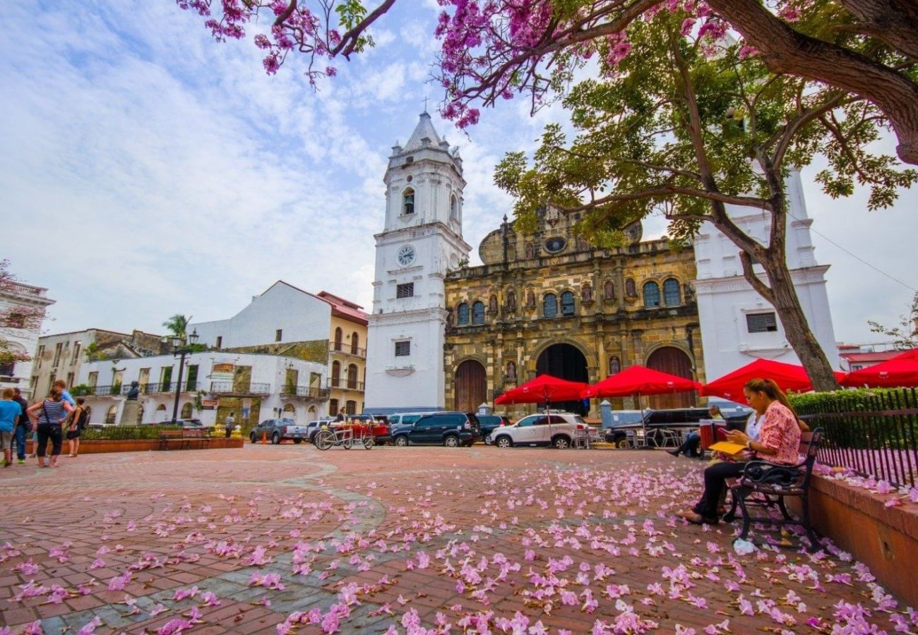 Apartamento en Ciudad de Panamá - 3BR con Piscina y Vista al Teatro Nacional D4 