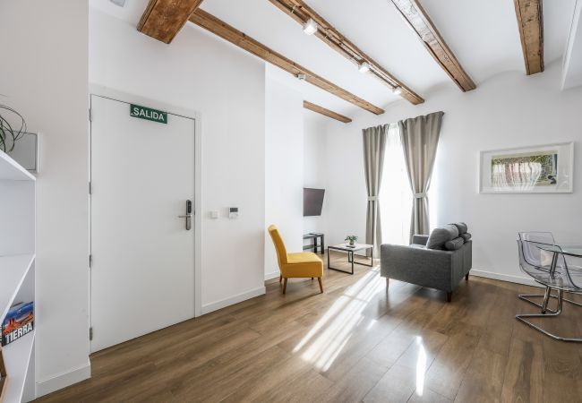 Estudio en Valencia - Fantástico loft adaptado  Estudio en Valencia - Fantástico loft adaptado