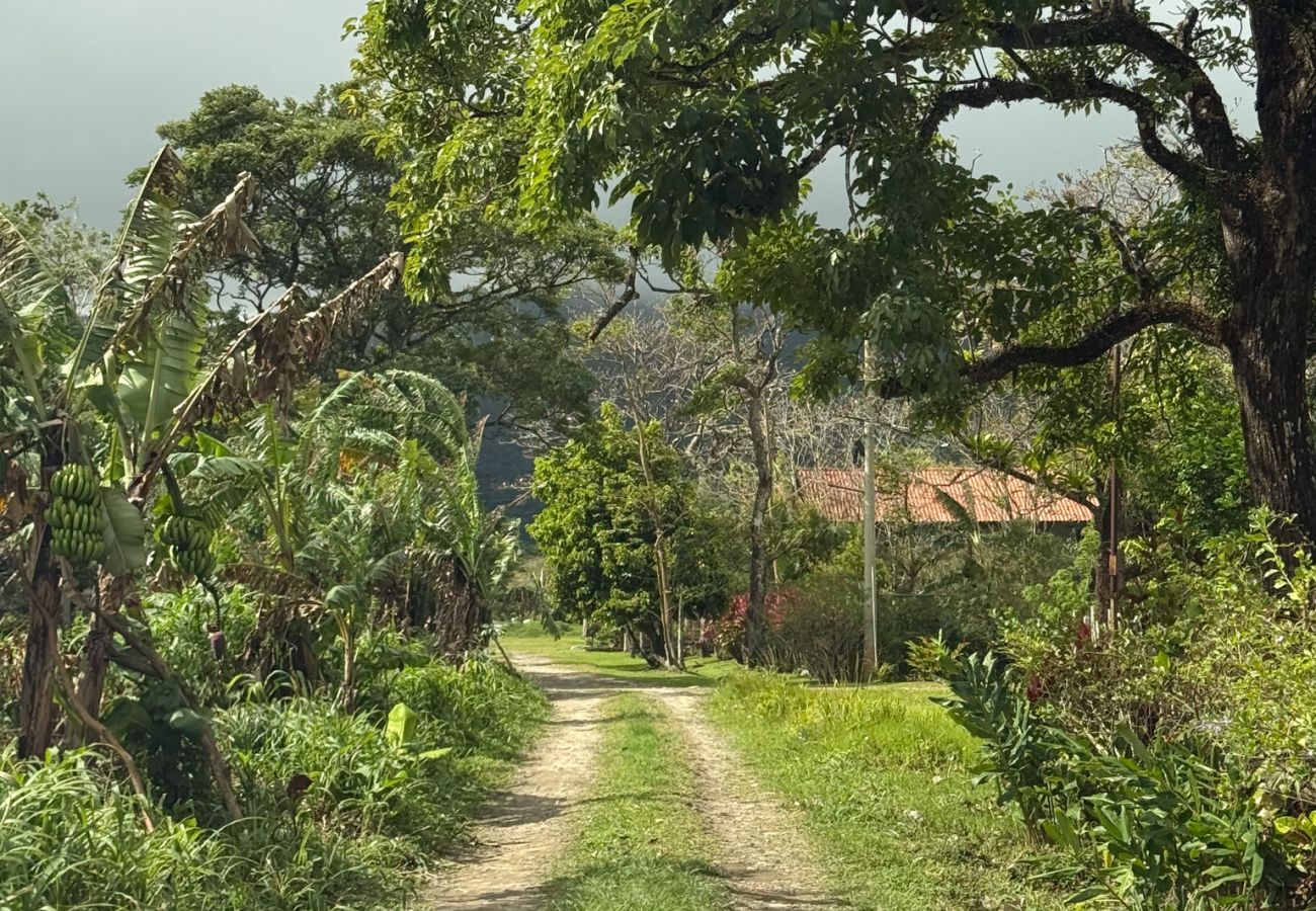 Estudio en Valle de Anton - Altavida Lodge · Hermoso Estudio Nuevo en El Valle · N4