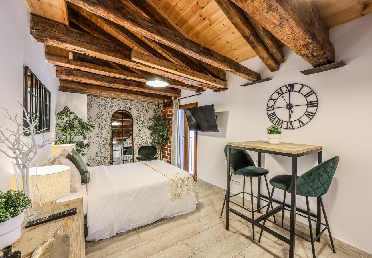 Aparthotel in Madrid - Beautiful Renovated Loft in the center 11 
