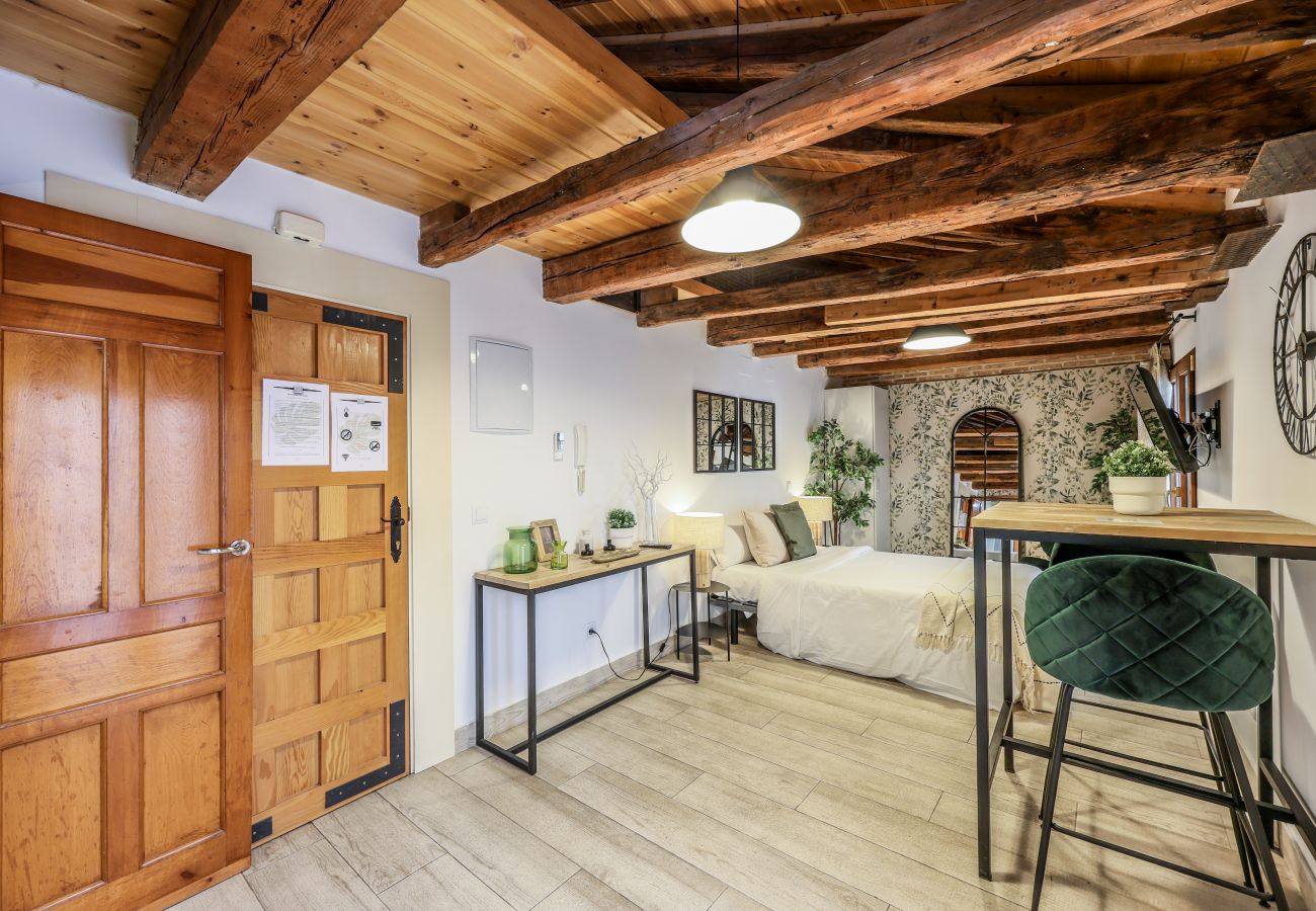 Aparthotel in Madrid - Beautiful Renovated Loft in the center 11 