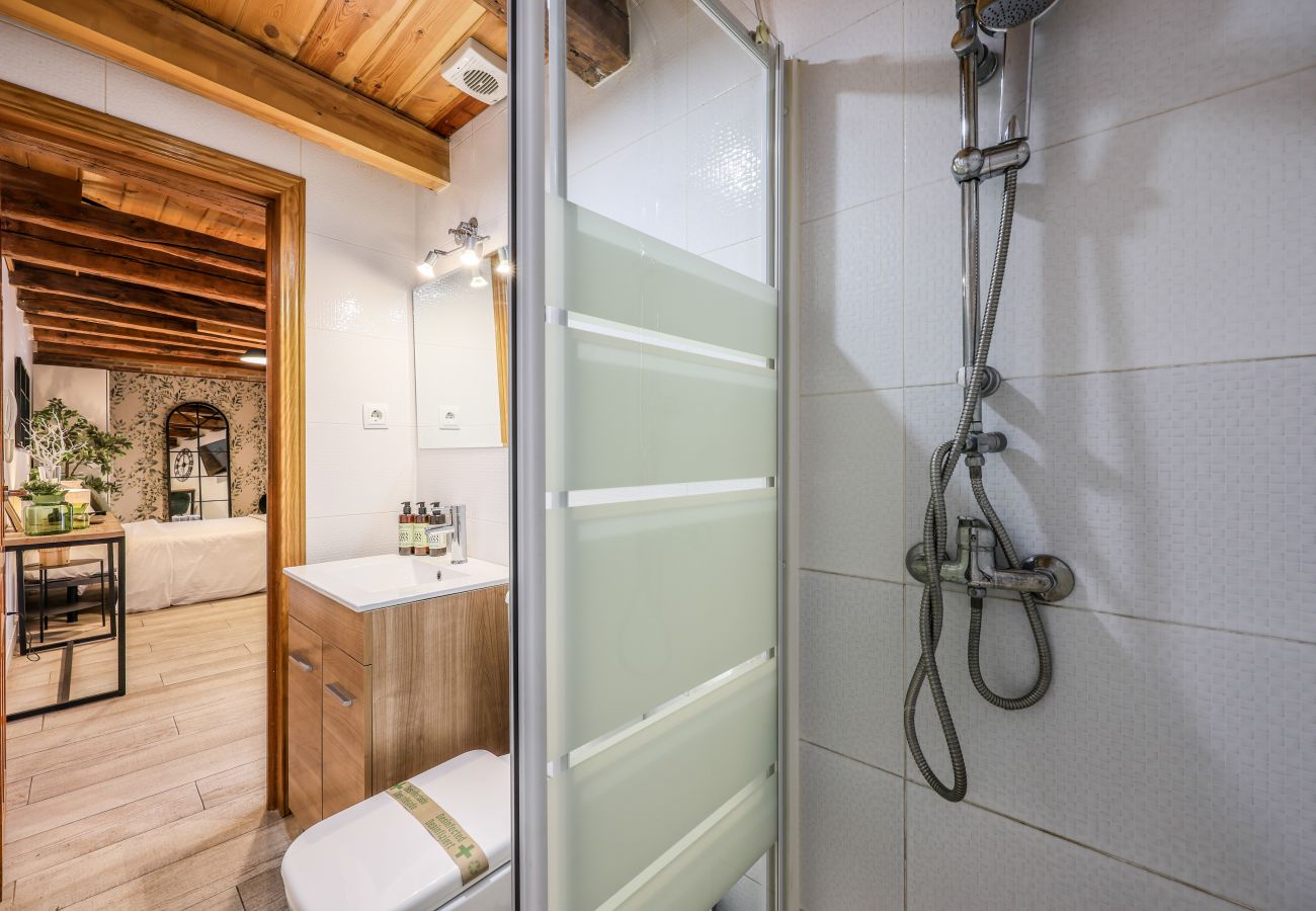 Aparthotel in Madrid - Beautiful Renovated Loft in the center 11 