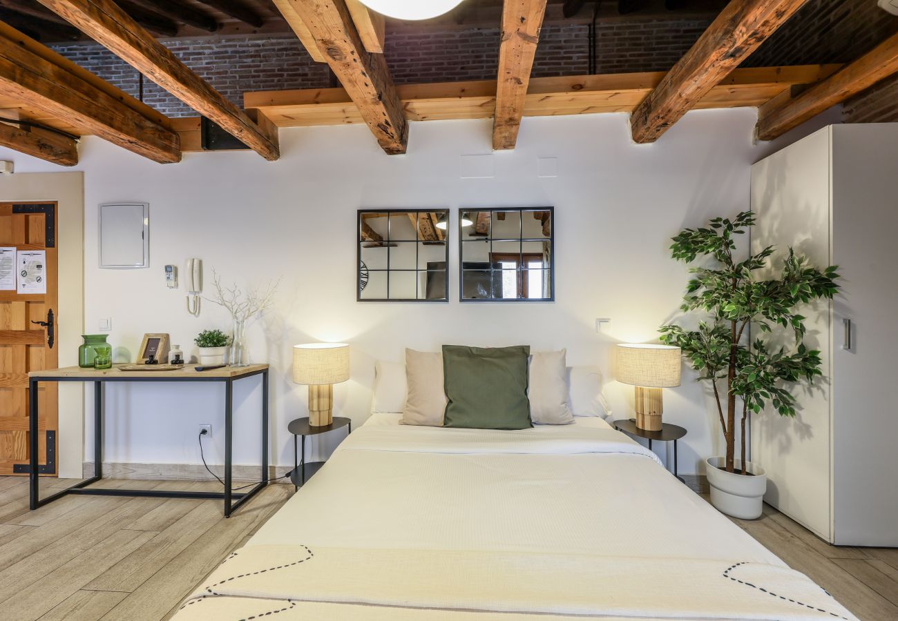 Aparthotel in Madrid - Beautiful Renovated Loft in the center 11 