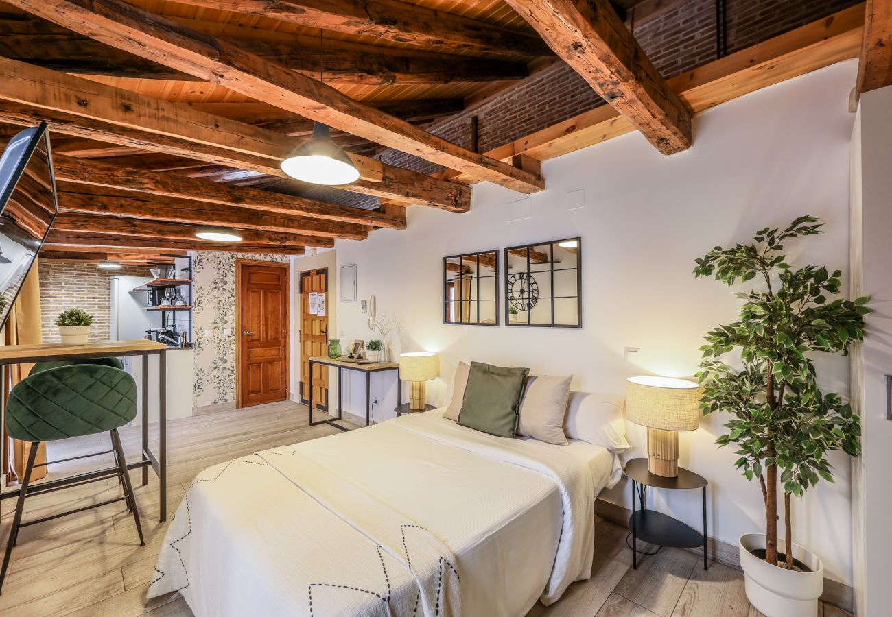 Aparthotel in Madrid - Beautiful Renovated Loft in the center 11 