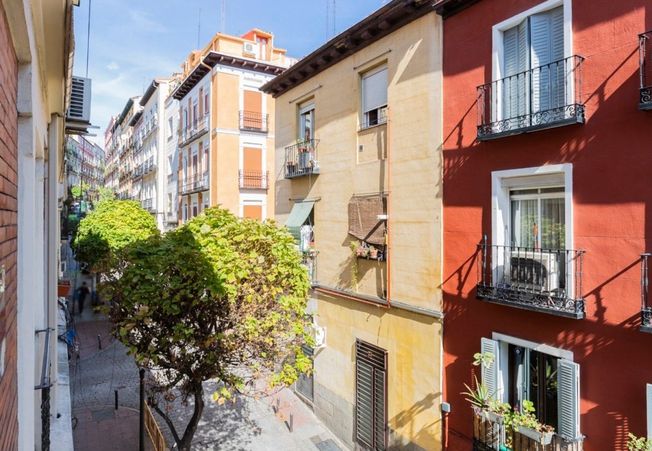 Apartment in Madrid - Renovated Apartment in Lavapiés 