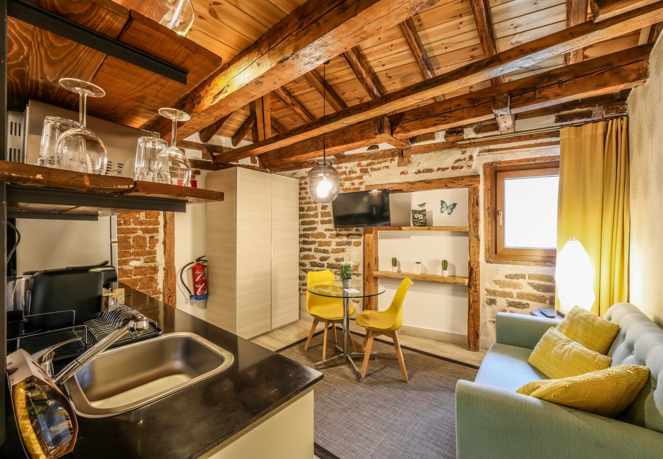 Aparthotel in Madrid - Beautiful Renovated Loft  in the center 012 