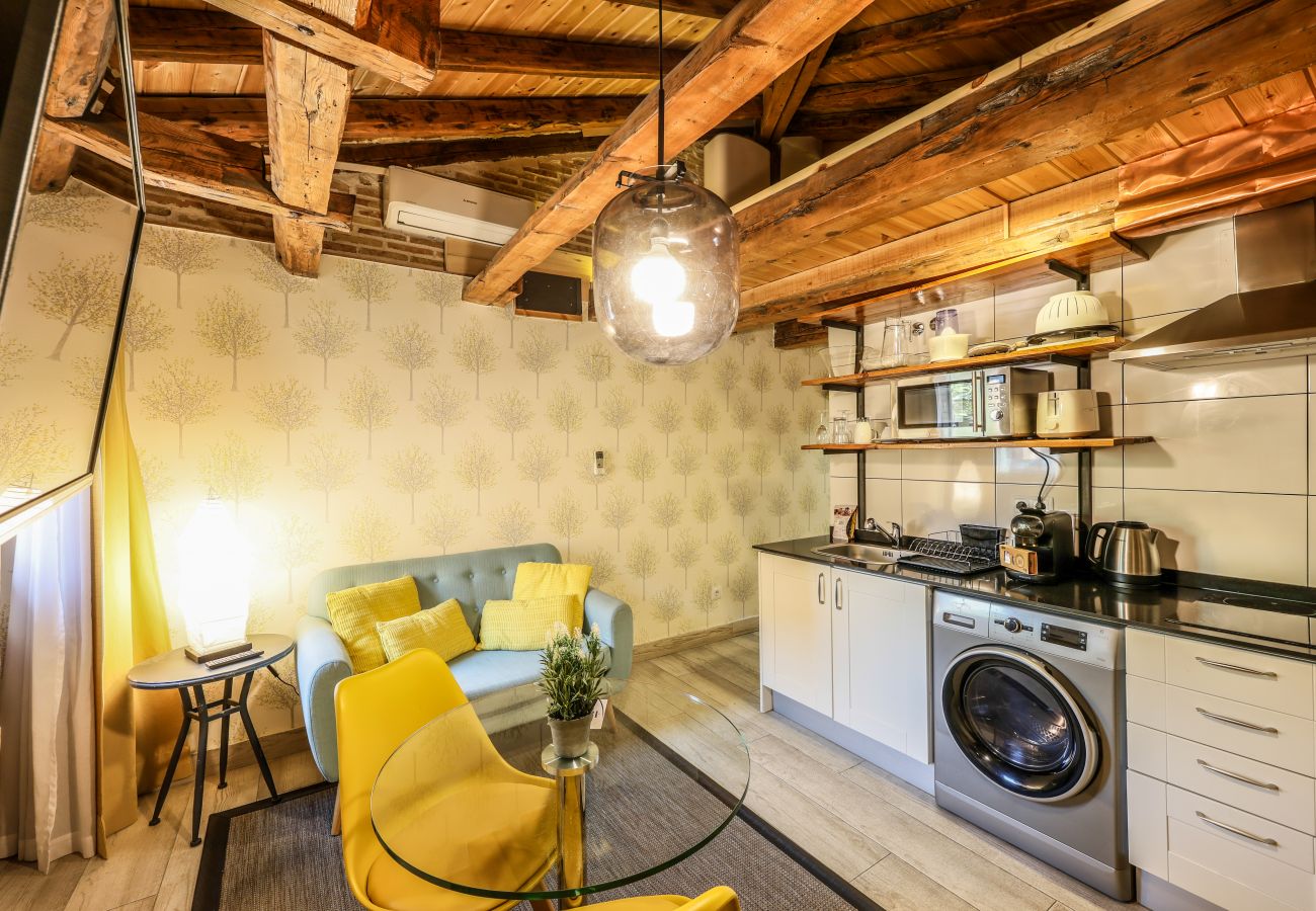 Aparthotel in Madrid - Beautiful Renovated Loft  in the center 012 