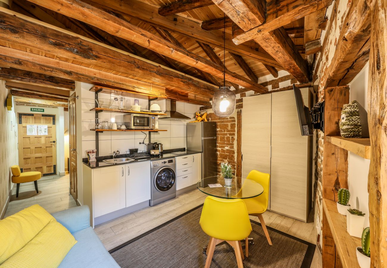 Aparthotel in Madrid - Beautiful Renovated Loft  in the center 012 