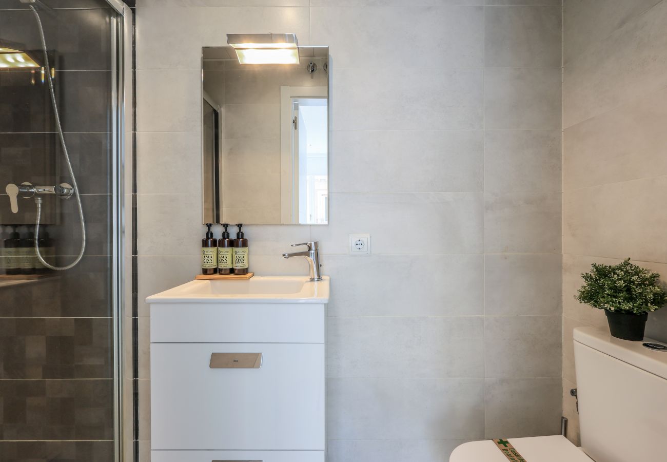 Aparthotel in Madrid - Penthouse with solarium  in Plaza Mayor and Sol