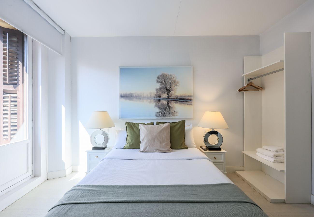 Aparthotel in Madrid - Penthouse with solarium  in Plaza Mayor and Sol