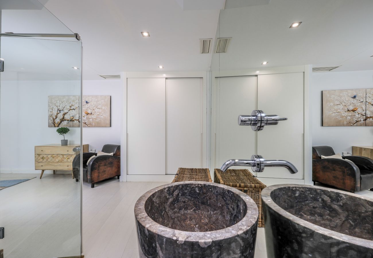 Aparthotel in Madrid - Penthouse with solarium  in Plaza Mayor and Sol