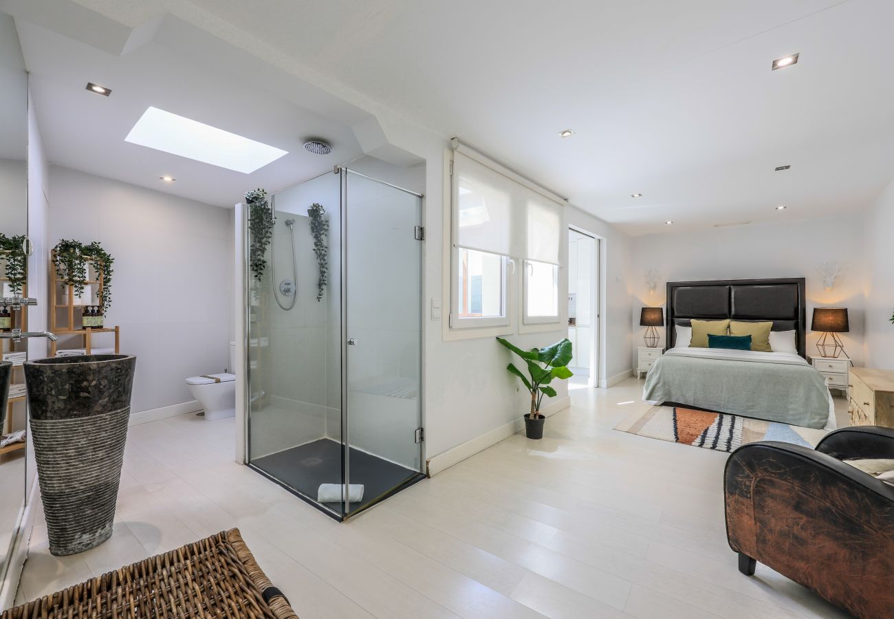 Aparthotel in Madrid - Penthouse with solarium  in Plaza Mayor and Sol