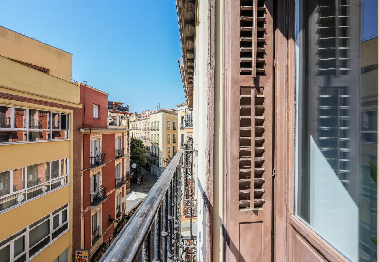 Aparthotel in Madrid - Penthouse with solarium  in Plaza Mayor and Sol