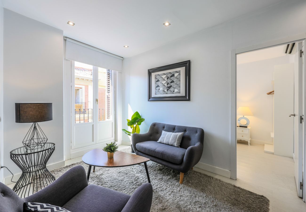 Aparthotel in Madrid - Penthouse with solarium  in Plaza Mayor and Sol