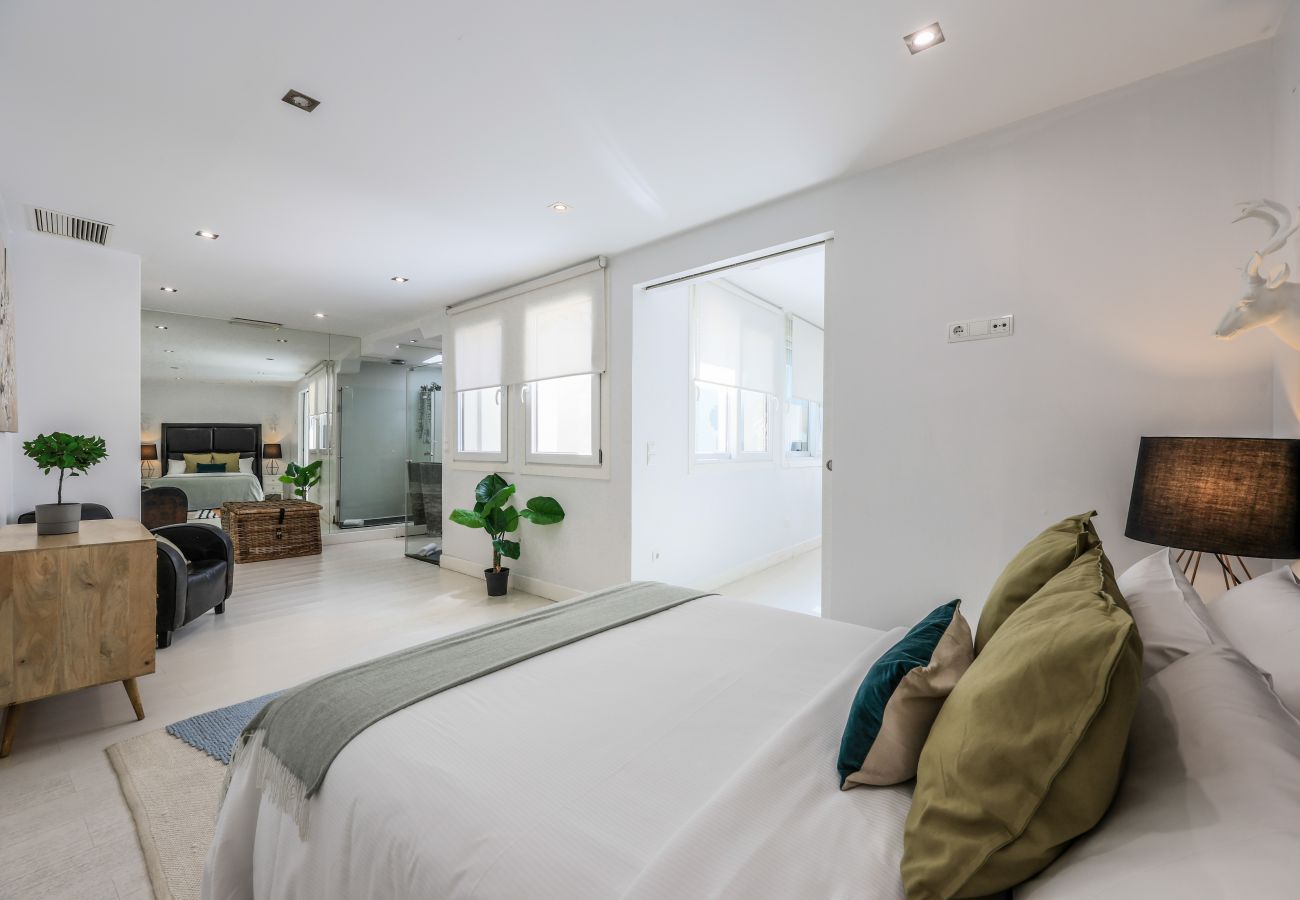 Aparthotel in Madrid - Penthouse with solarium  in Plaza Mayor and Sol