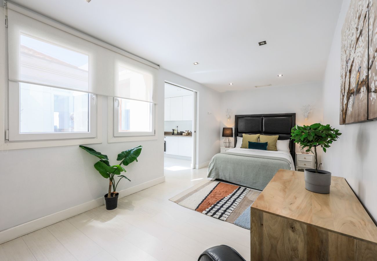 Aparthotel in Madrid - Penthouse with solarium  in Plaza Mayor and Sol