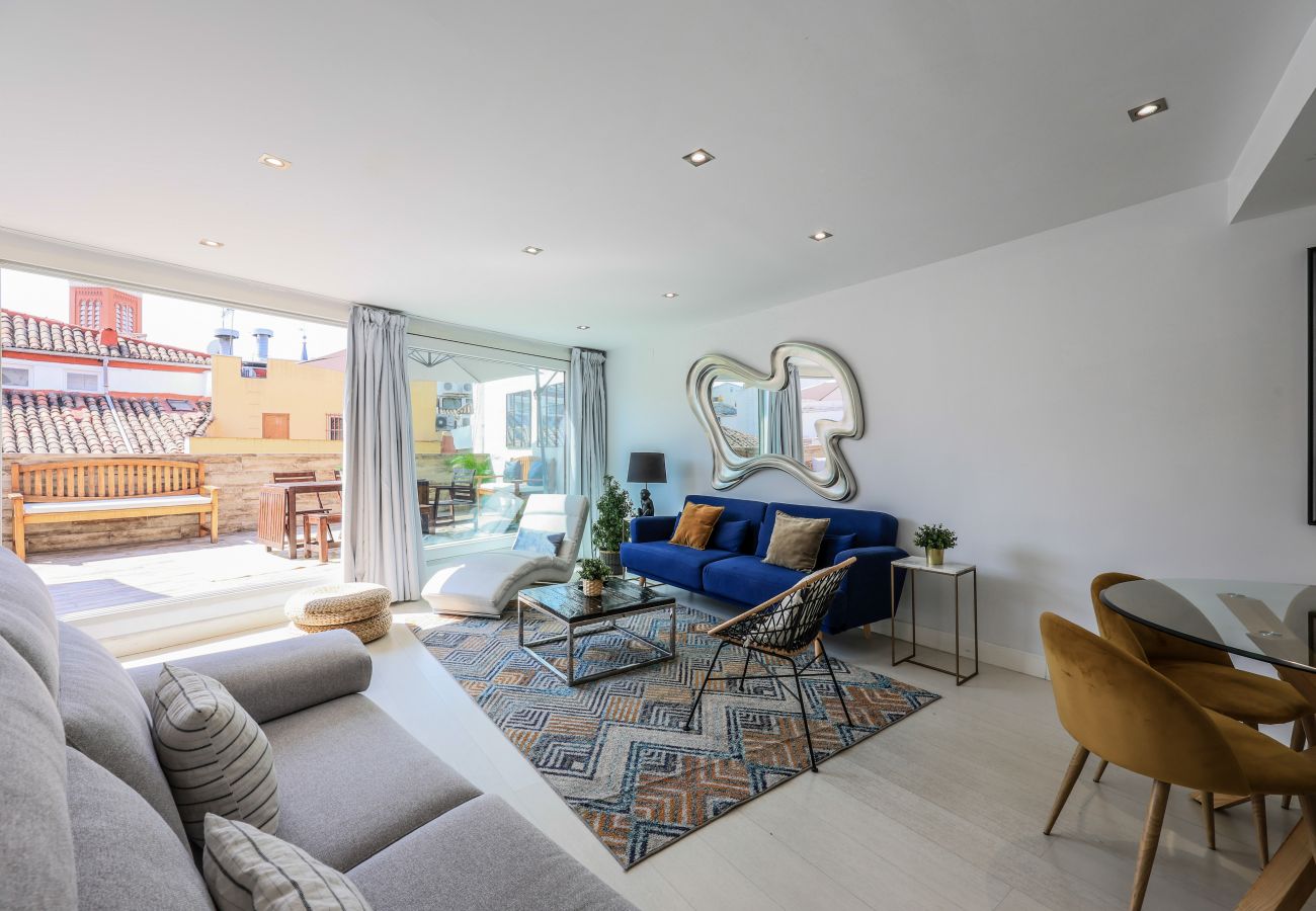 Aparthotel in Madrid - Penthouse with solarium  in Plaza Mayor and Sol