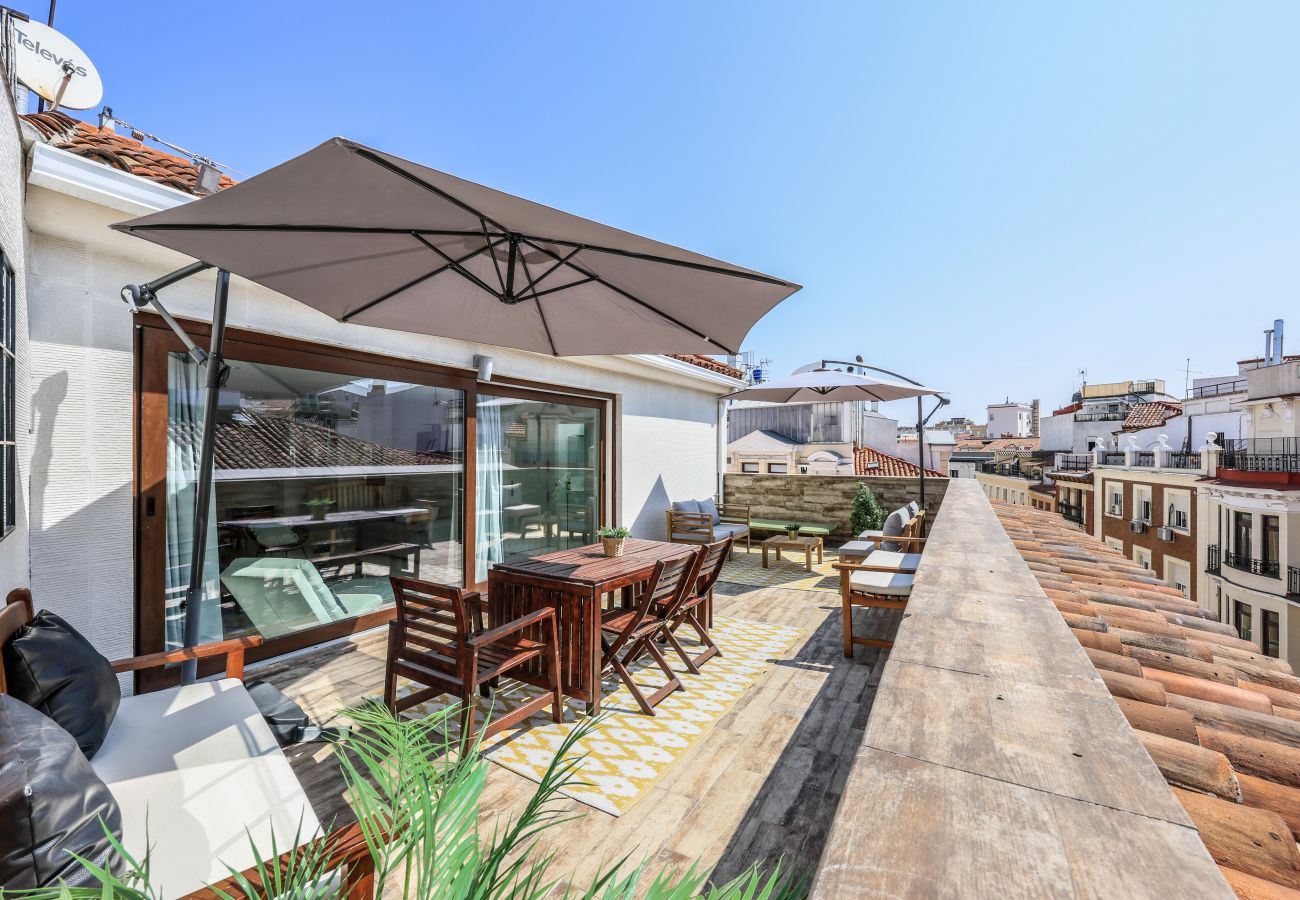 Aparthotel in Madrid - Penthouse with solarium  in Plaza Mayor and Sol