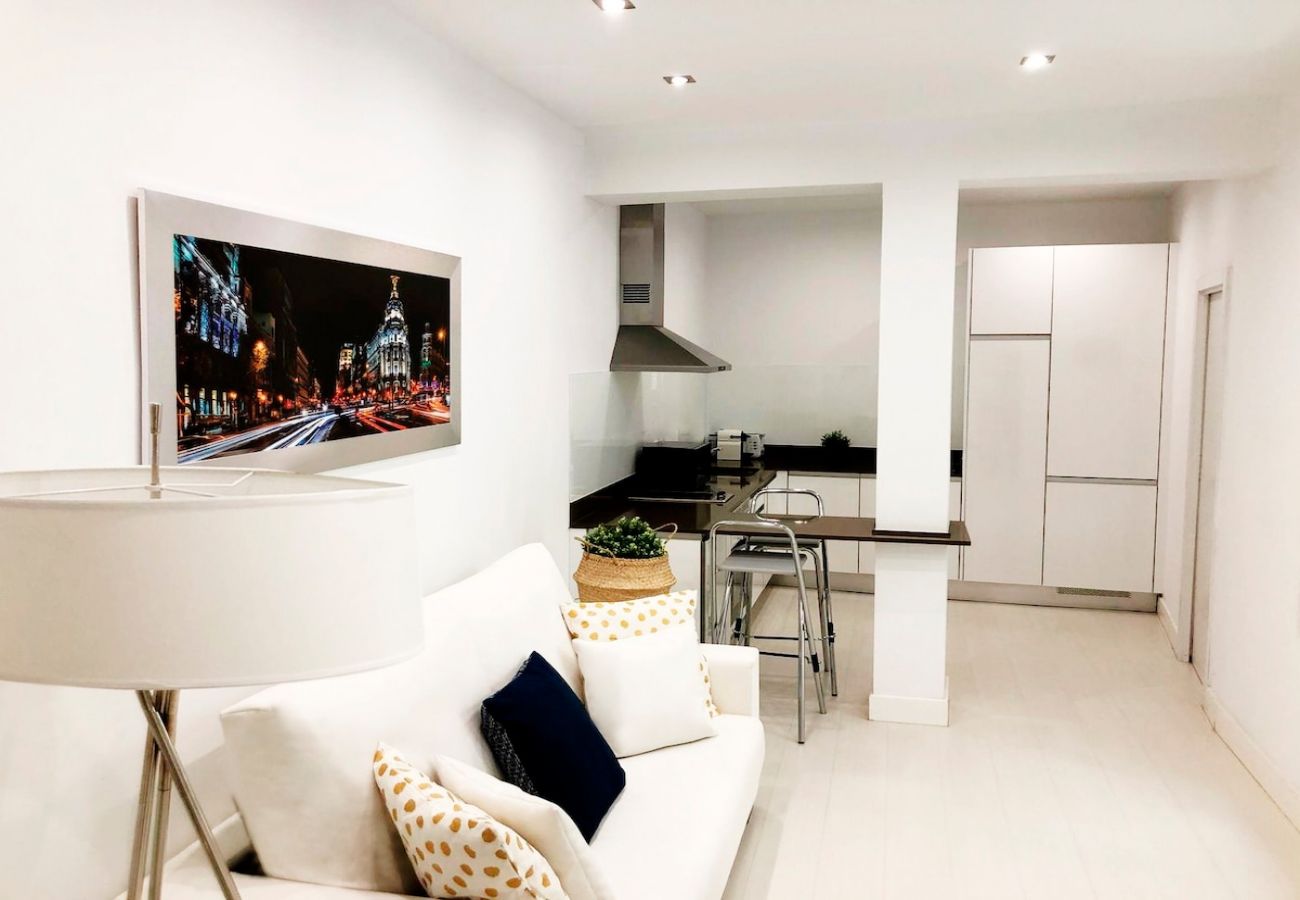 Apartment in Madrid - Design apartment in Plaza Mayor 3D 