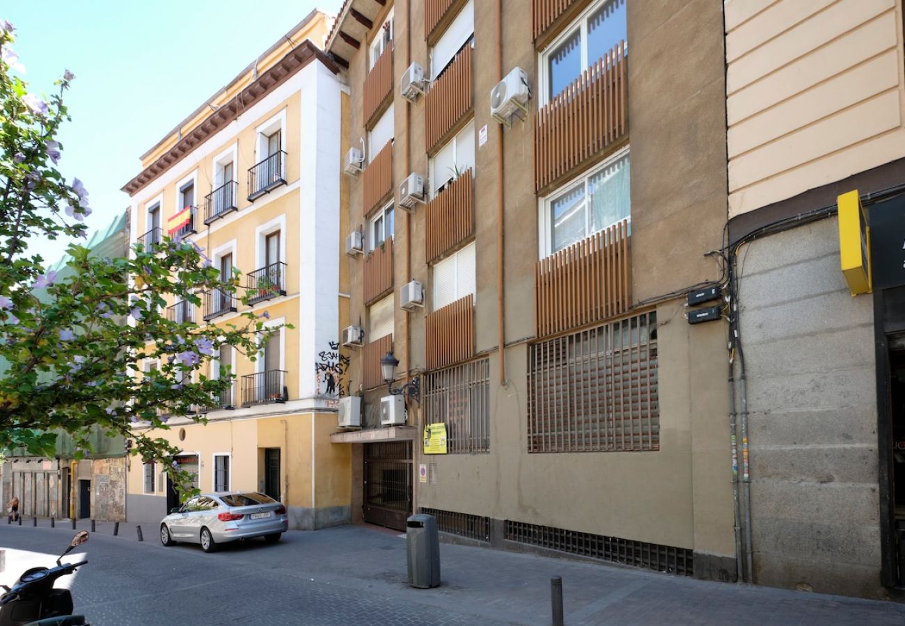Apartment in Madrid - Apartment in Atocha Zone and Barrio de las Letras M1C