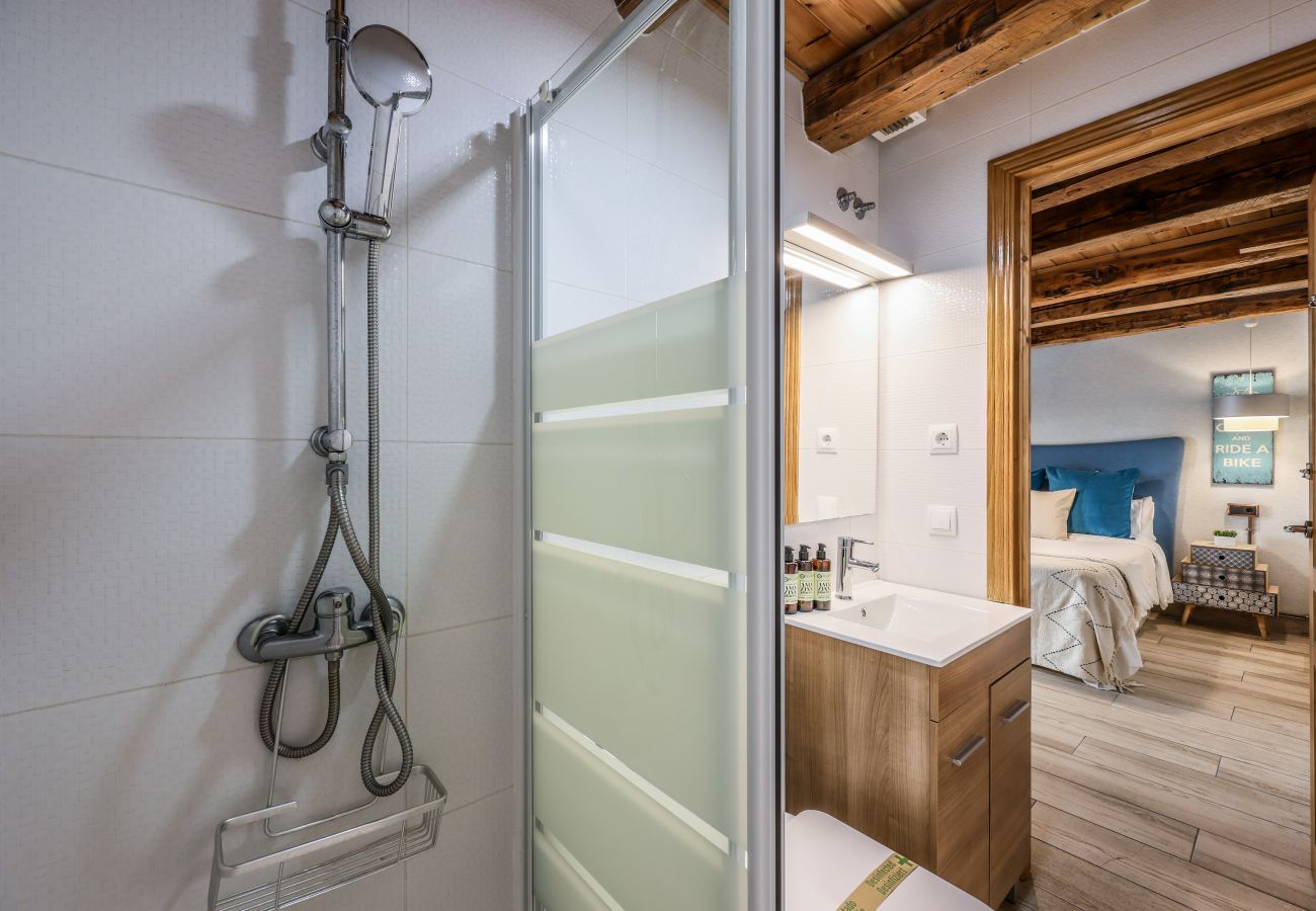 Aparthotel in Madrid - Beautiful Renovated Loft in the center 5 