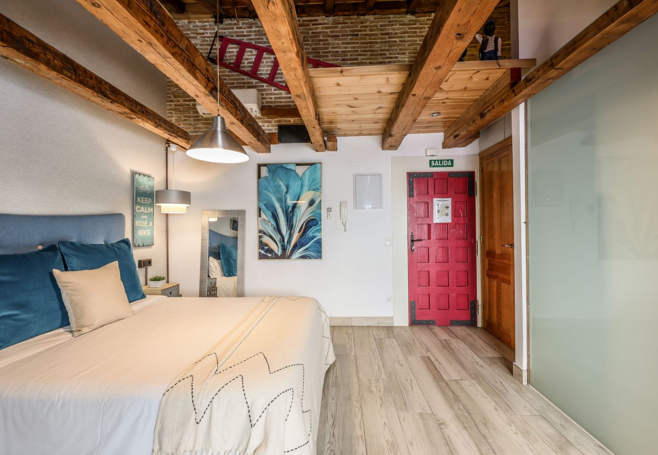 Aparthotel in Madrid - Beautiful Renovated Loft in the center 5 