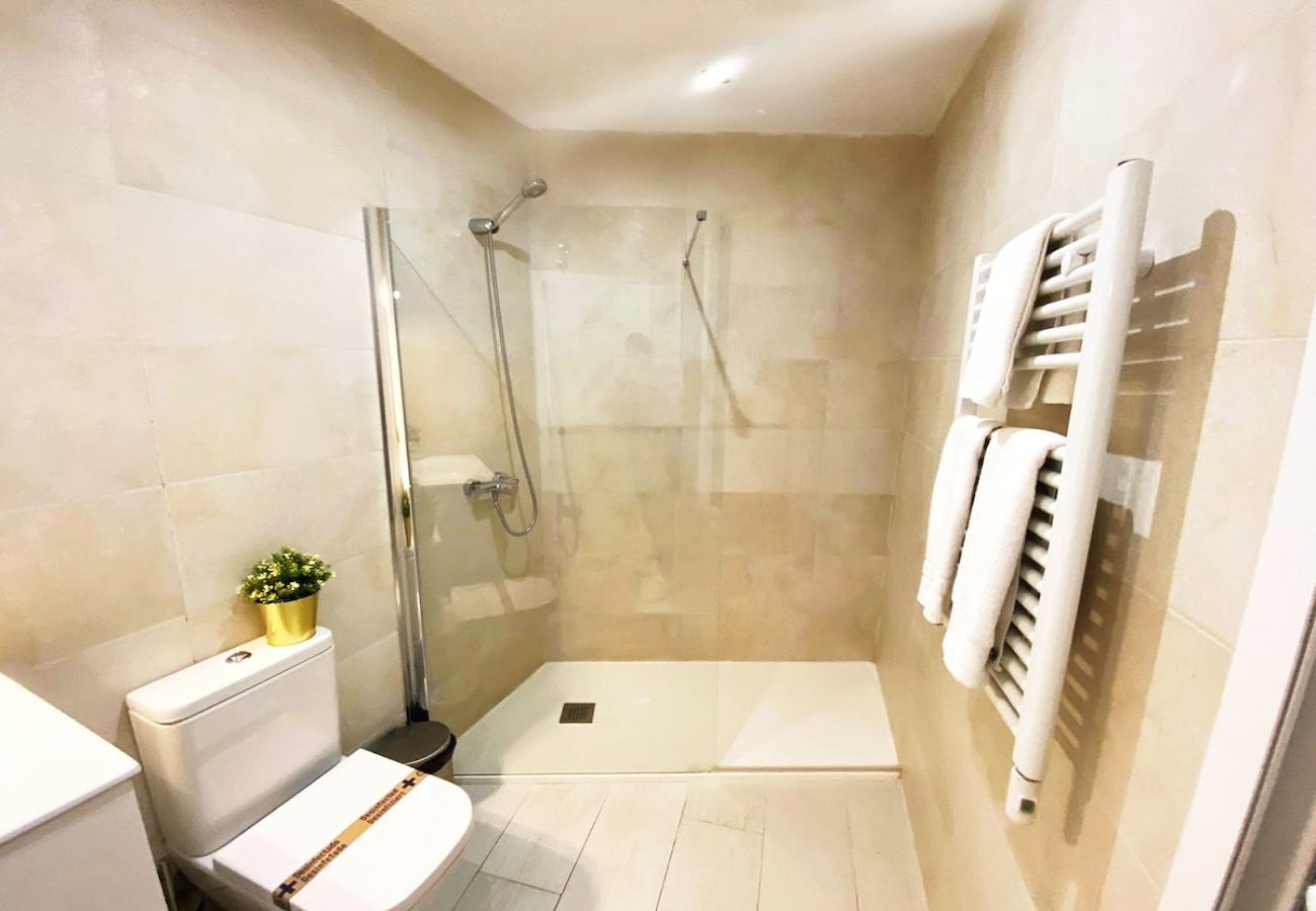 Aparthotel in Madrid - Design apartment in Plaza Mayor 1D 