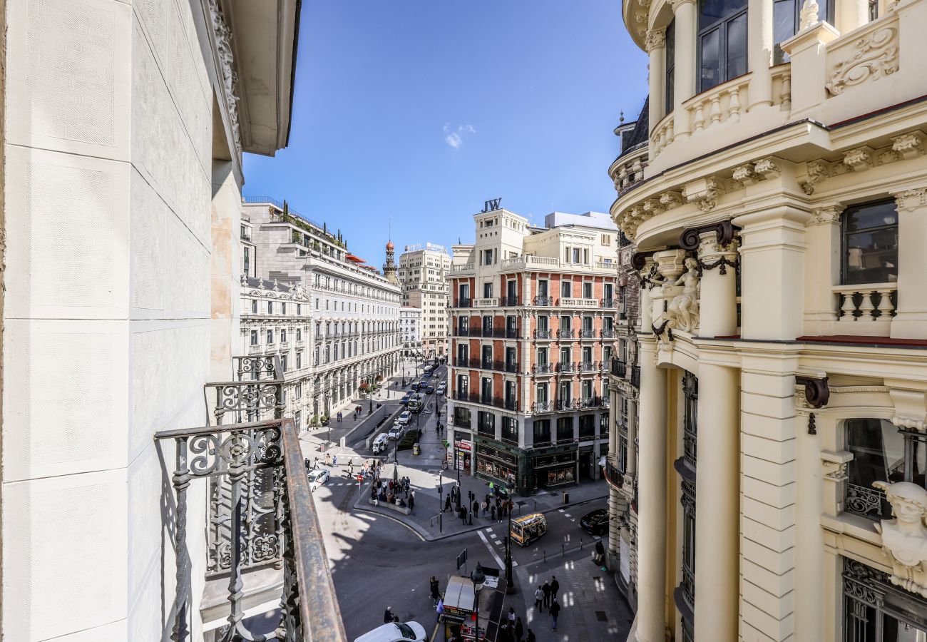 Aparthotel in Madrid - Impressive apartment in the center of Madrid 