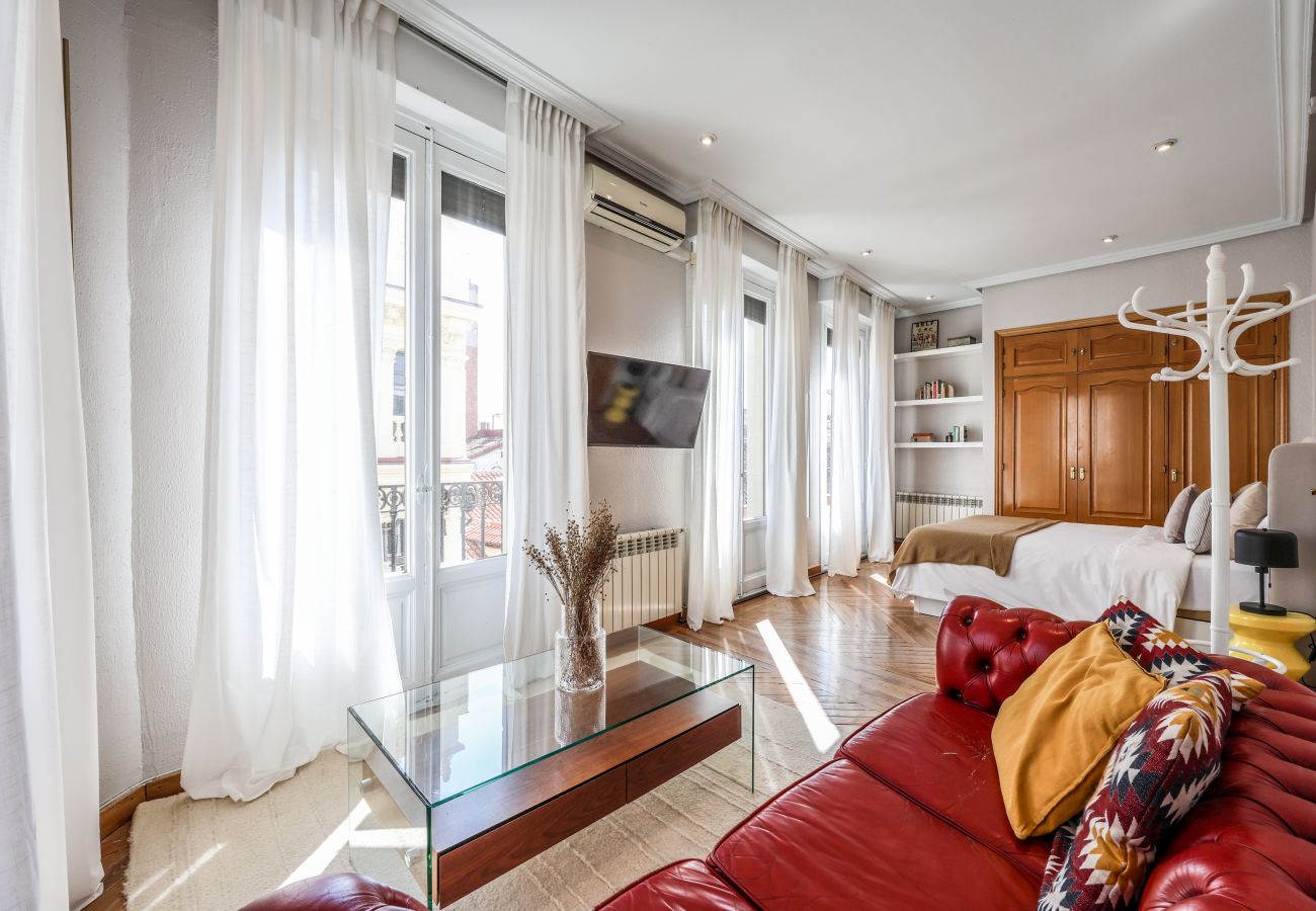 Aparthotel in Madrid - Impressive apartment in the center of Madrid 