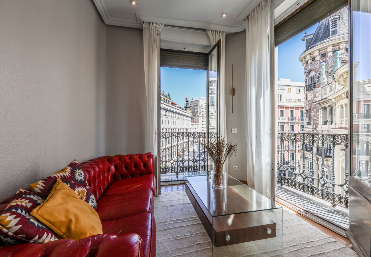 Aparthotel in Madrid - Impressive apartment in the center of Madrid 